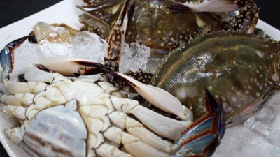 싱싱한 1kg 멍게 청정해역 A급 활 1kg 특가! 후기와 함께하는 구매 가이드