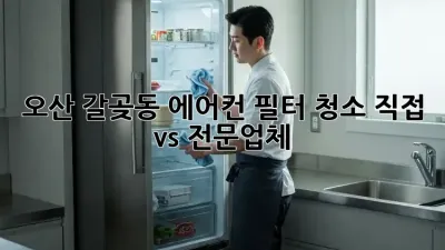 오산 갈곶동 에어컨 필터 청소, 직접 vs 전문업체?